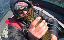 Stiuca, Delta, Uzlina, Isac, Octombrie, hai!